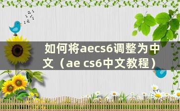 如何将aecs6调整为中文（ae cs6中文教程）